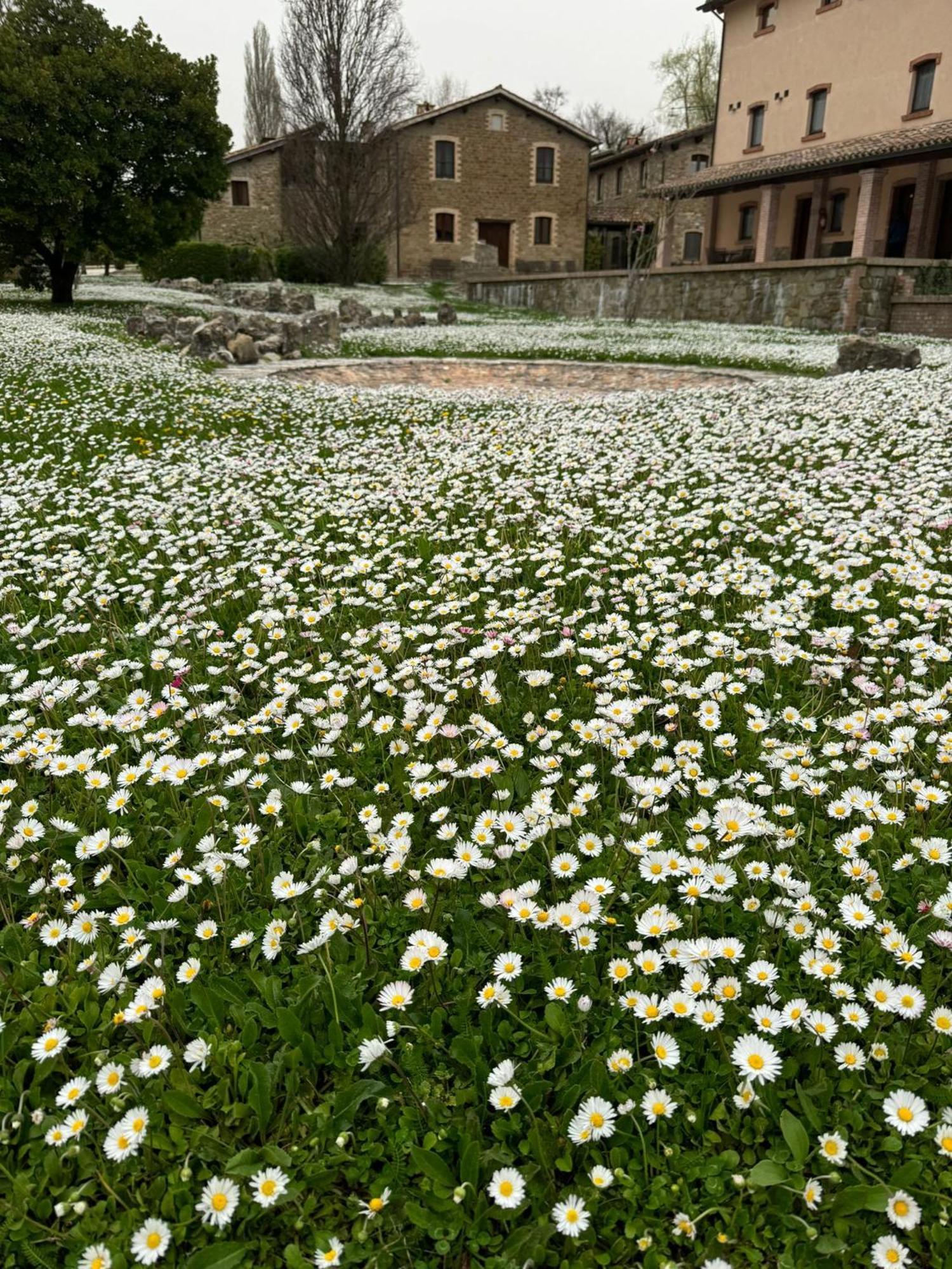 Agriturismo Le Case Assisi Exterior foto